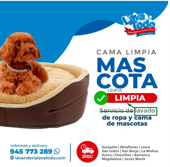 Lavado Ropa Cama Mascotas Peru